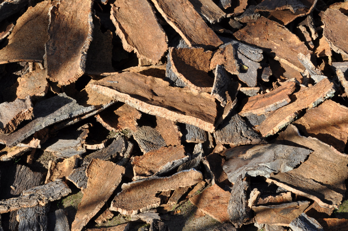 cork_oak_cork_tree_bark_natural_product_cork_board_layer_bark_peeled-777843.jpg!d